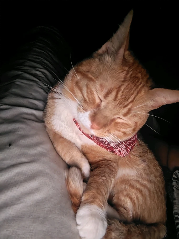 GIF subido por Juan Castro