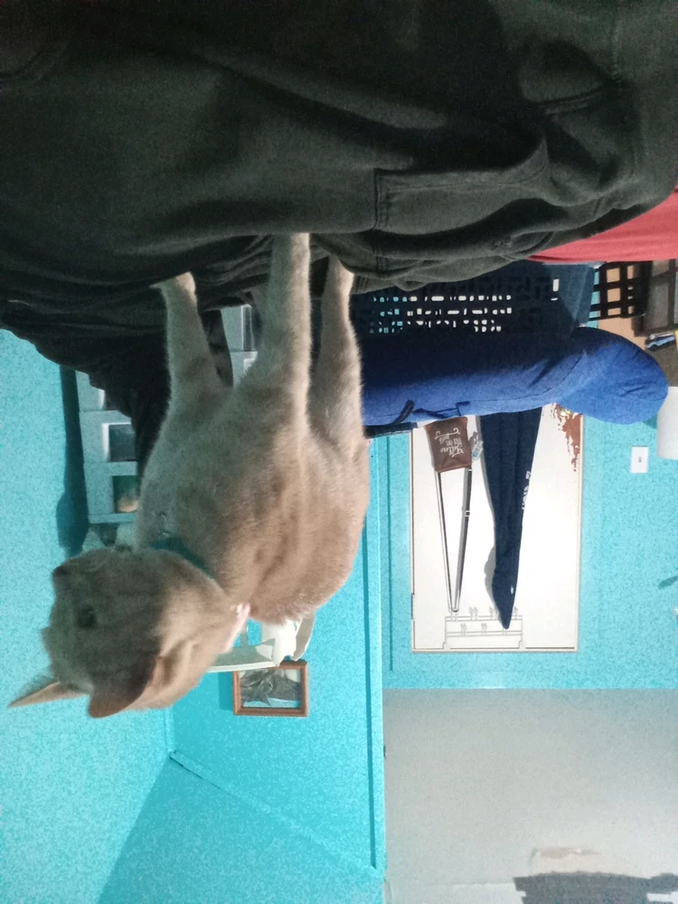 Please Come Back Soon