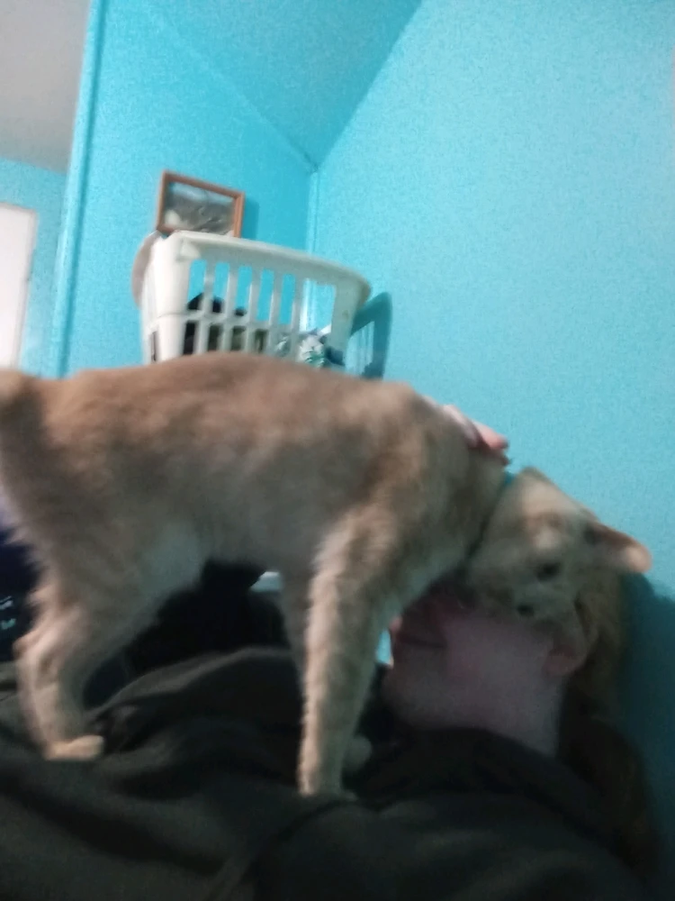 Please Come Back Soon