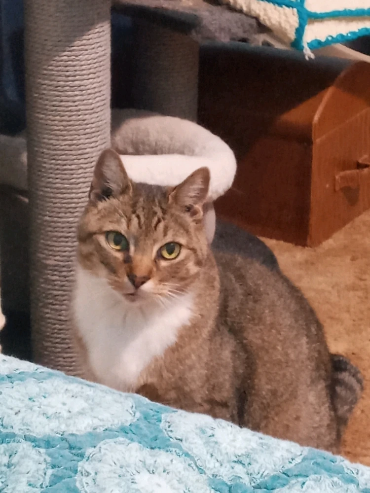 Please Come Back Soon