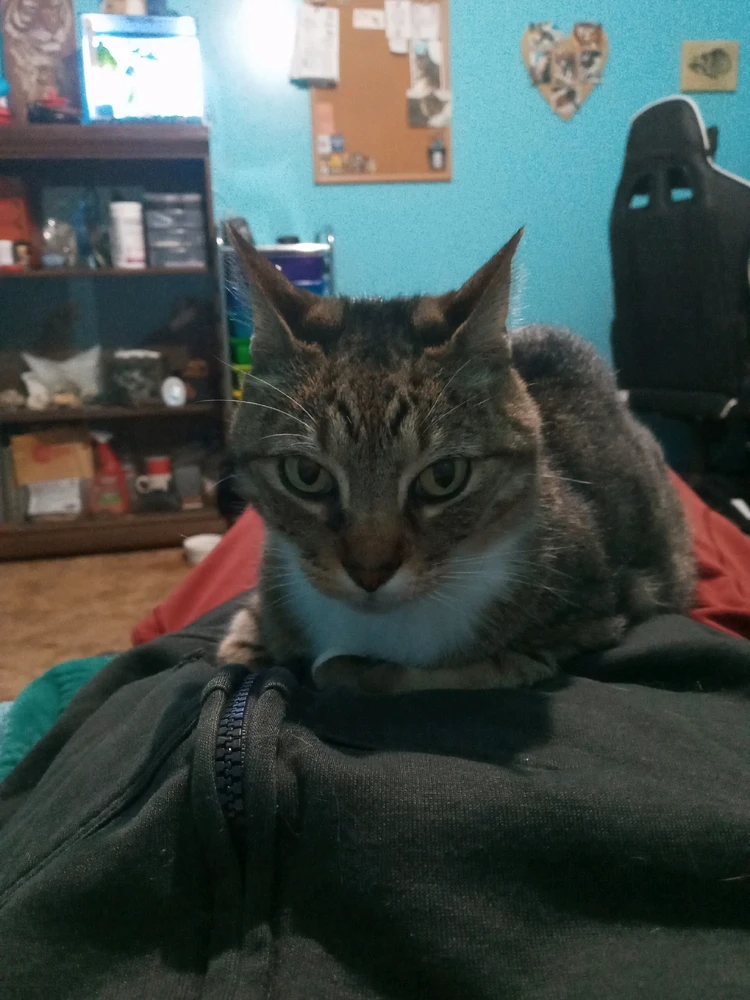 Please Come Back Soon