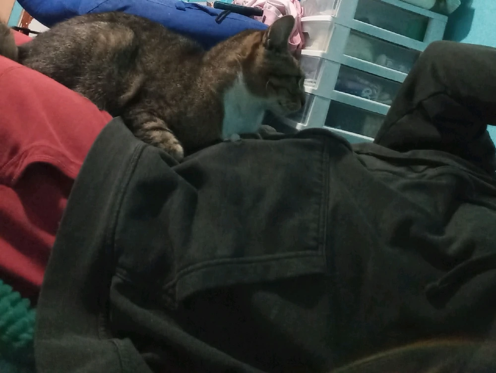 Please Come Back Soon