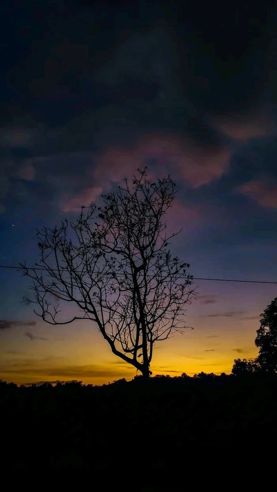 Captured @Pretoria, Titled...'morning walk pre-coffee'