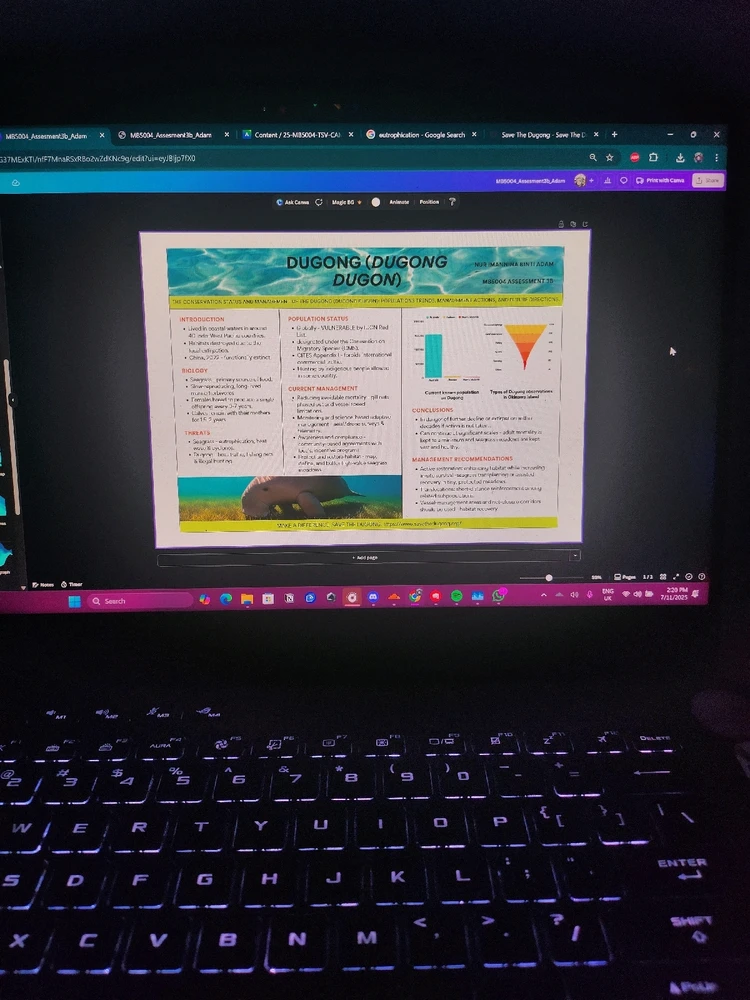 3/3 Assignments completed