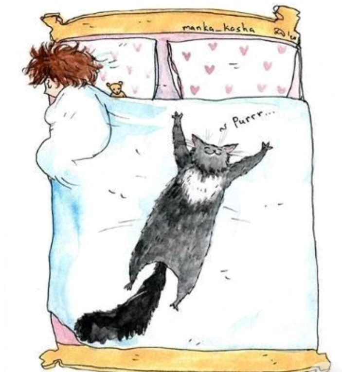 GIF uploaded by Laura