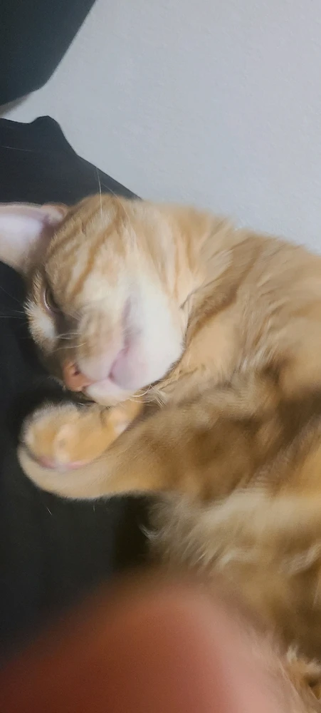 Image uploaded by momo