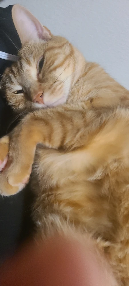 Image uploaded by momo