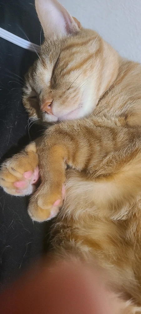 Image uploaded by momo