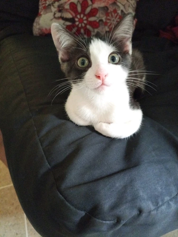 GIF uploaded by Manuel