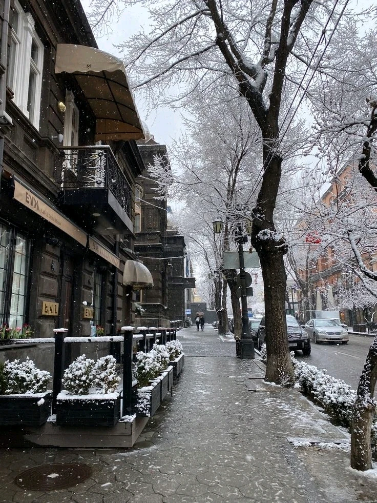 I need a winter walk....