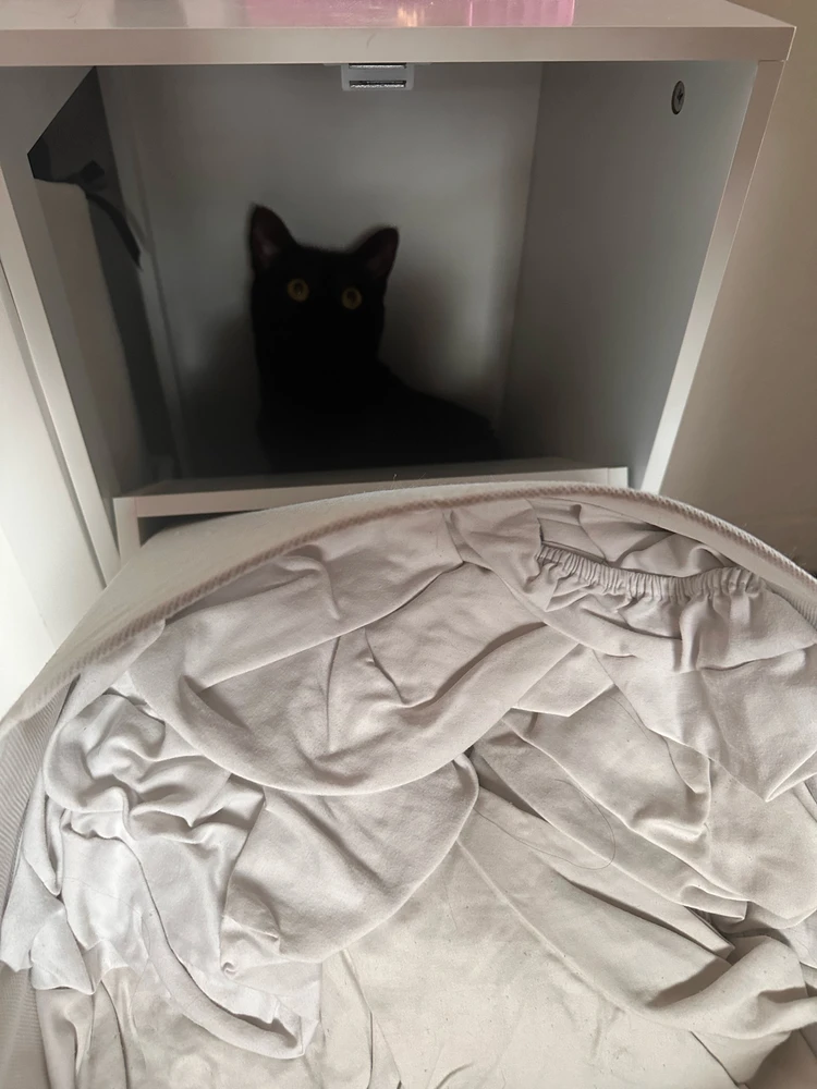 A ghost behind the laundry drawer.. hwaw