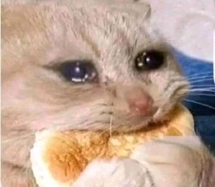 Que triste es la vida sin dinero ni trabajo