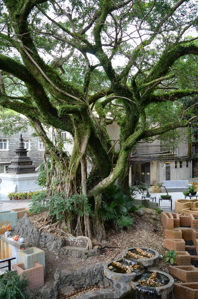 Best places people have traveled to?