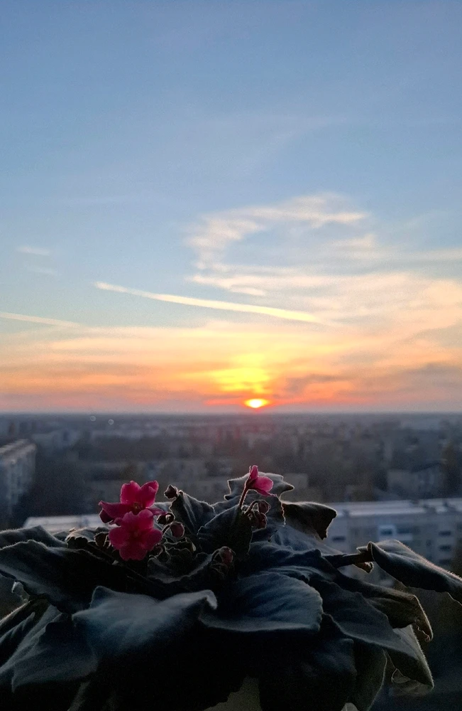 Просто закат