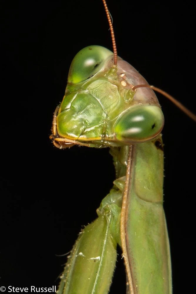 Зображення завантажив Лєра