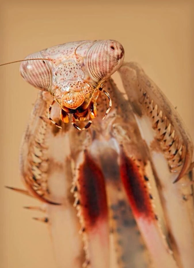 Зображення завантажив Лєра