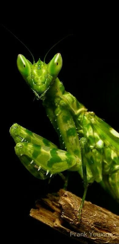 Зображення завантажив Лєра