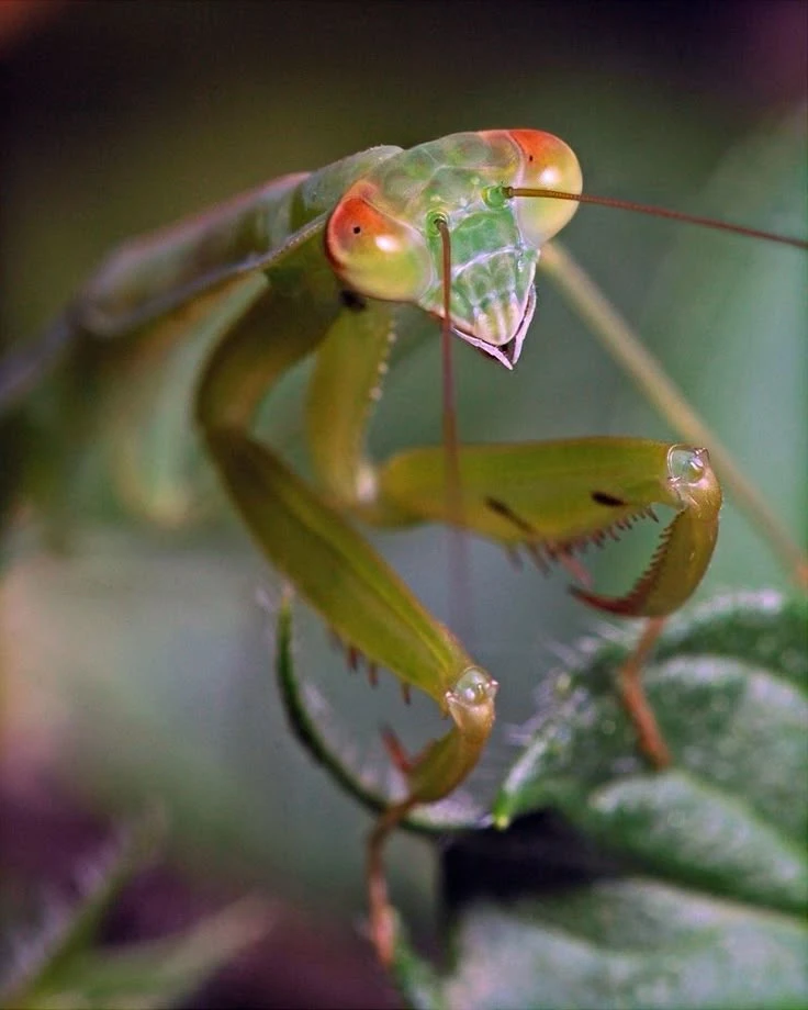 Зображення завантажив Лєра