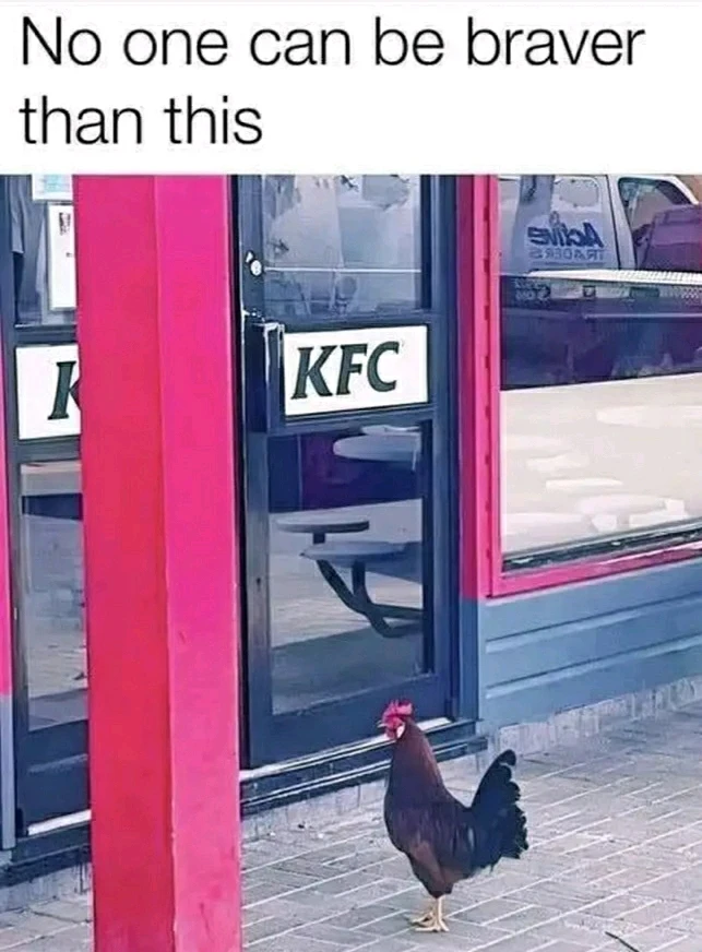 GIF hochgeladen von Marron