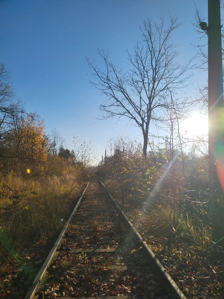 GIF dodany przez ᛏᛟᛗᚨᛊᛉ