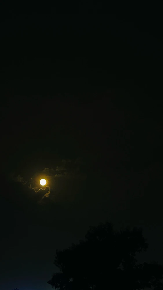 Image uploaded by Pratz