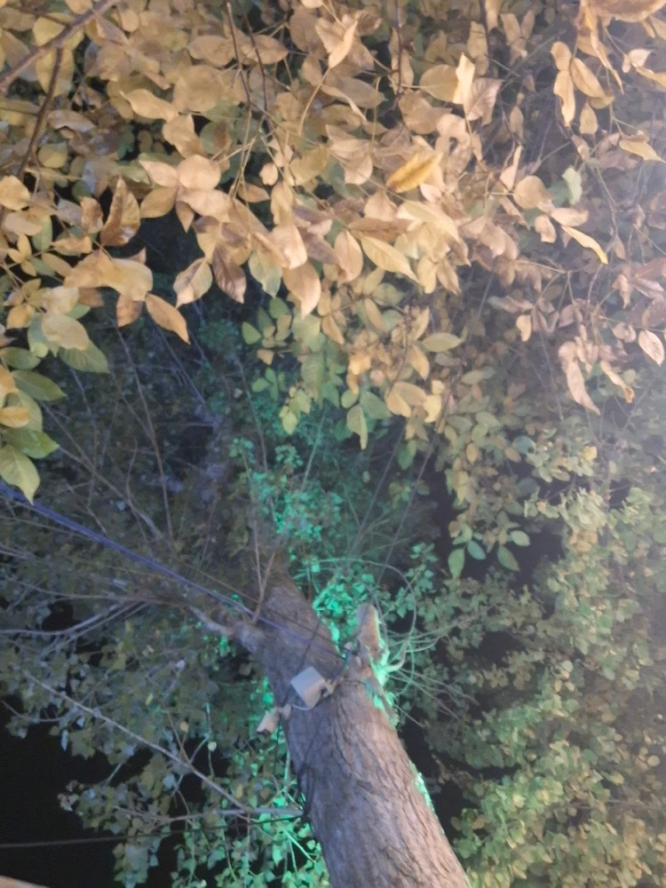 Image uploaded by Mohadese