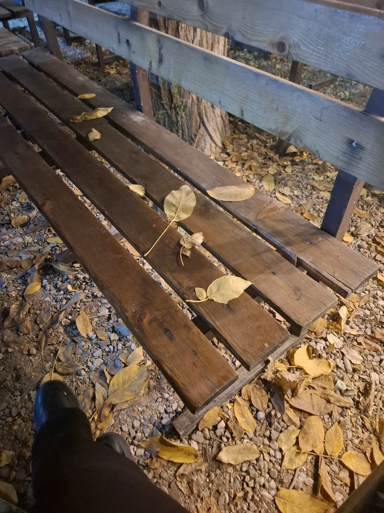 Image uploaded by Mohadese