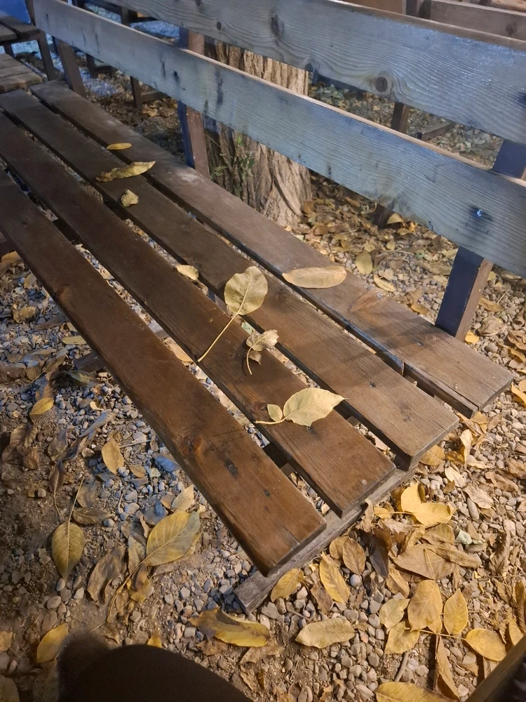 Image uploaded by Mohadese