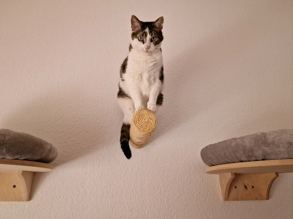 GIF hochgeladen von Stephanie Angelika