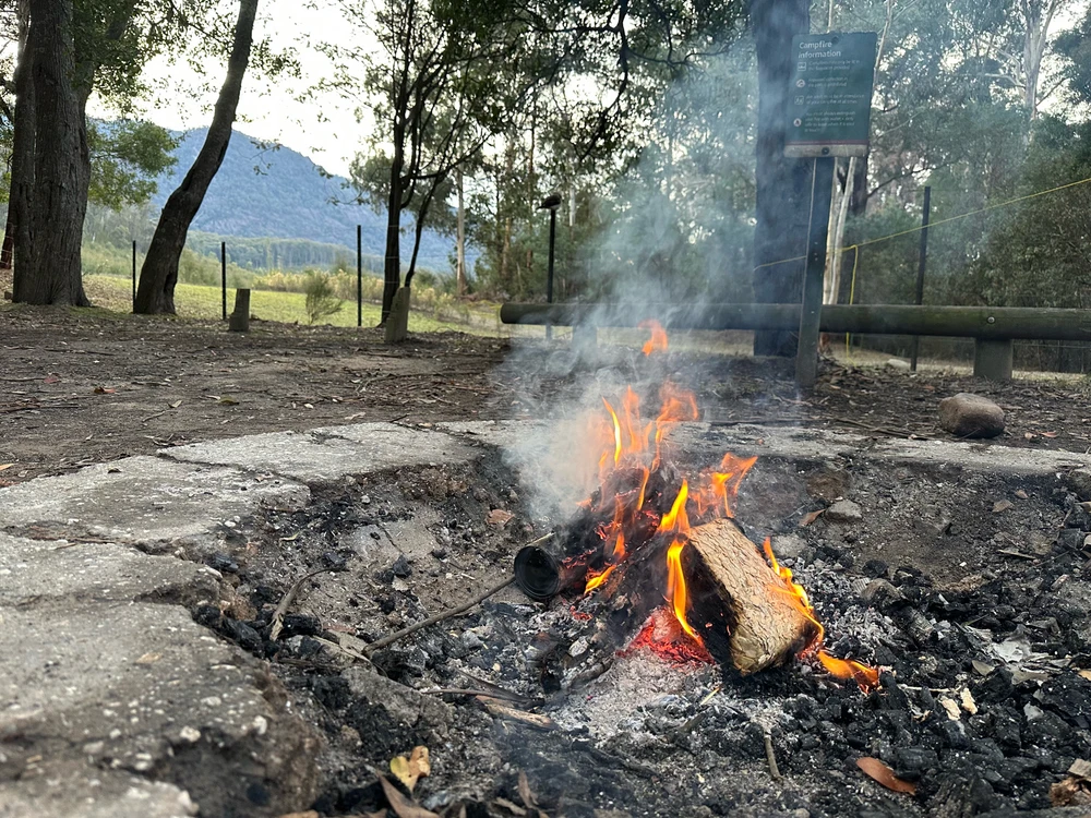 Cognition over reaction