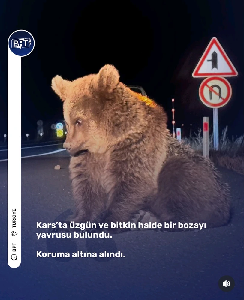 J tarafından yüklenen GIF