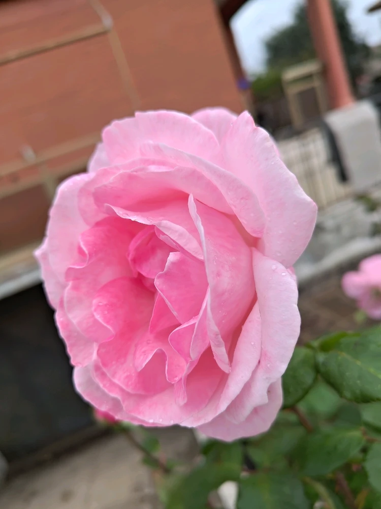 Immagine caricata da Luca