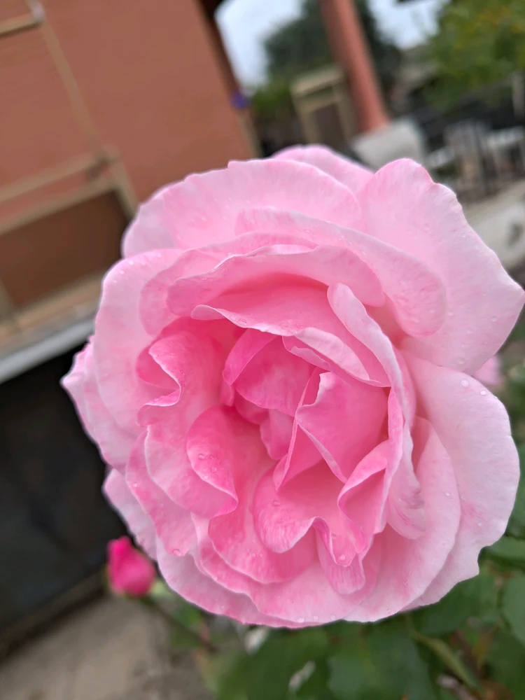 Immagine caricata da Luca