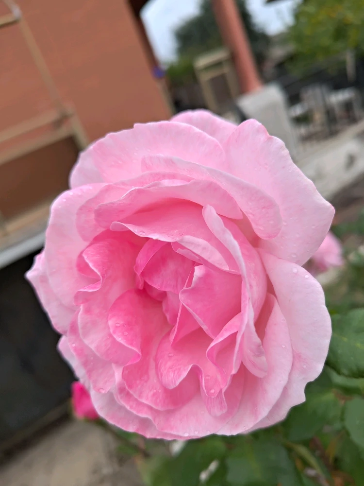 Immagine caricata da Luca