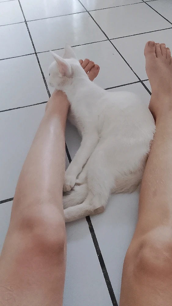 Imagem enviada por Lawanda