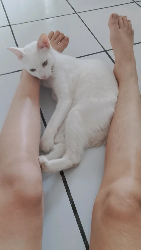 Imagem enviada por Lawanda