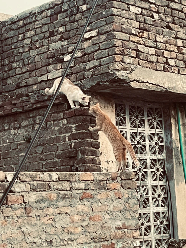 Caught him red handed 💕😅