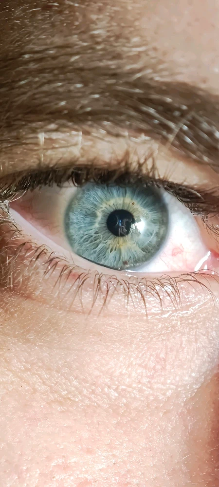 Ongoing Negotiations with My Eyes