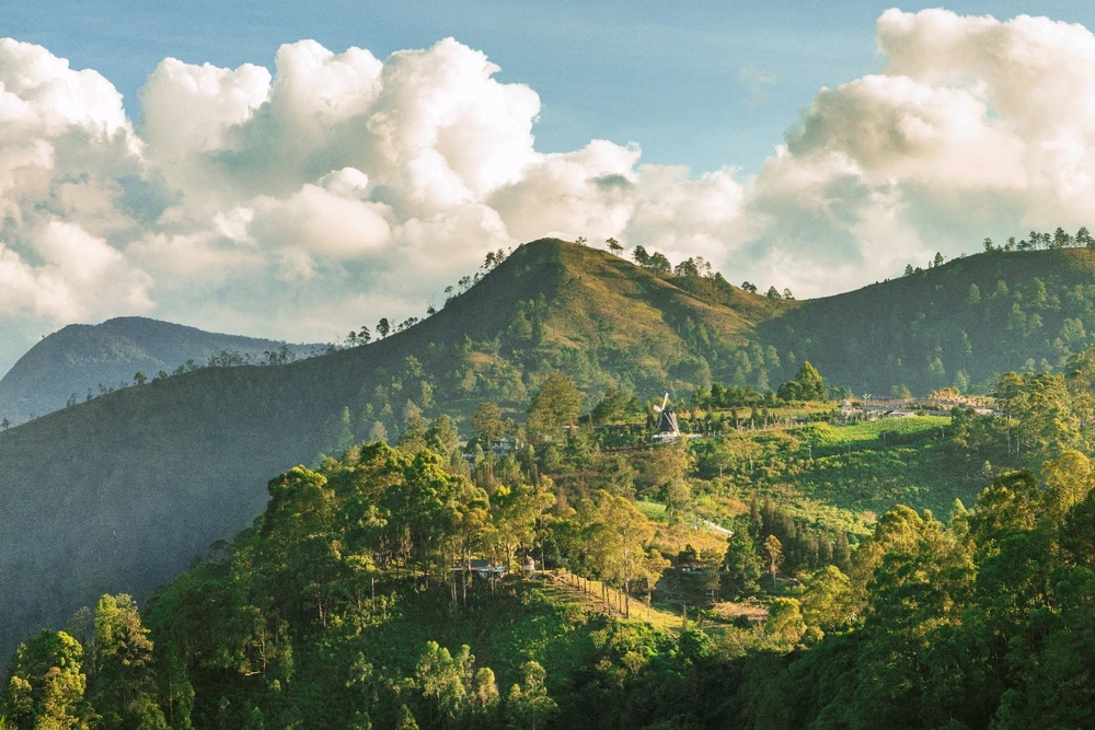 Last trip to the Islands