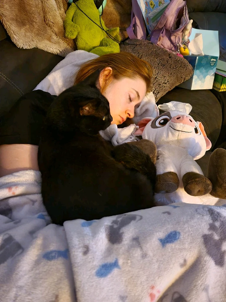 GIF uploaded by Katianna