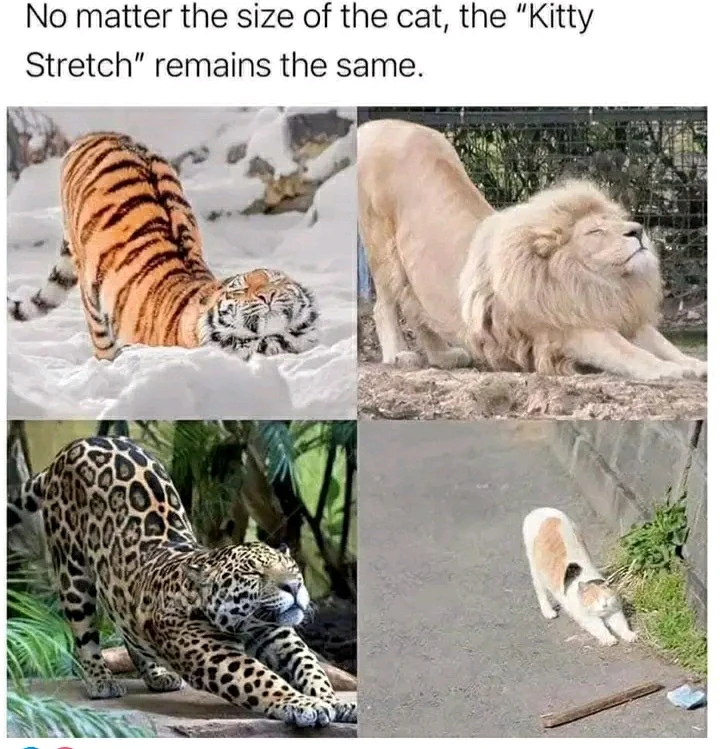 GIF hochgeladen von Marron