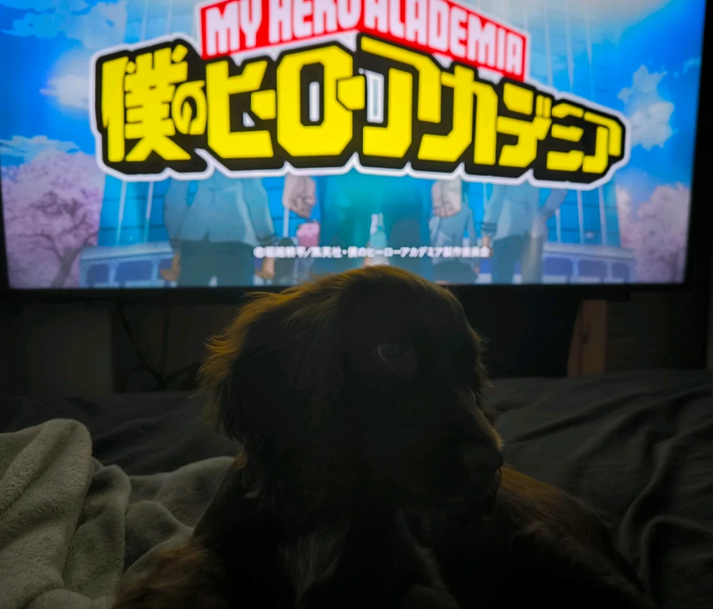 Bonne soirée en vue 😁