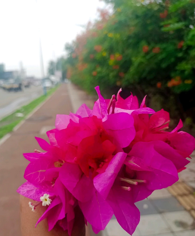 Just a little happiness!