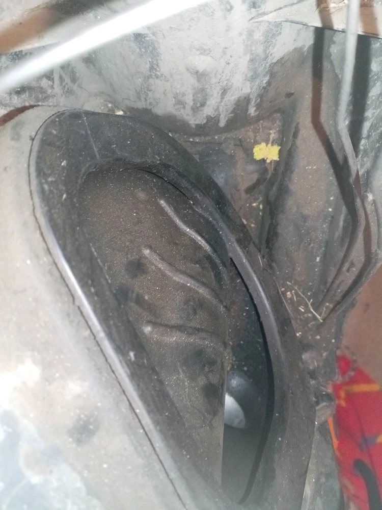 Image uploaded by Rob