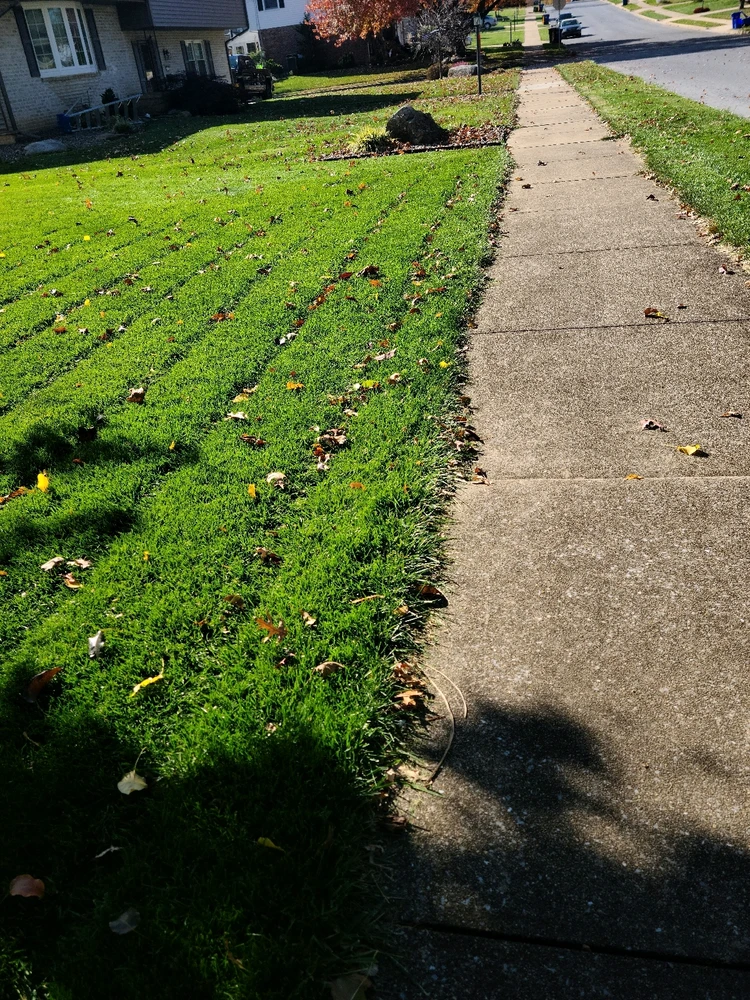 Image uploaded by Silva