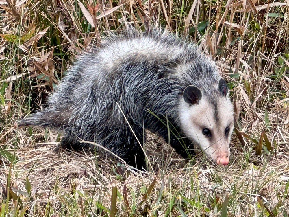 GIF uploaded by Josh