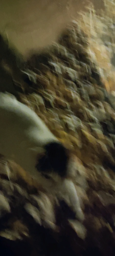 GIF ajouté par Sir_H.C