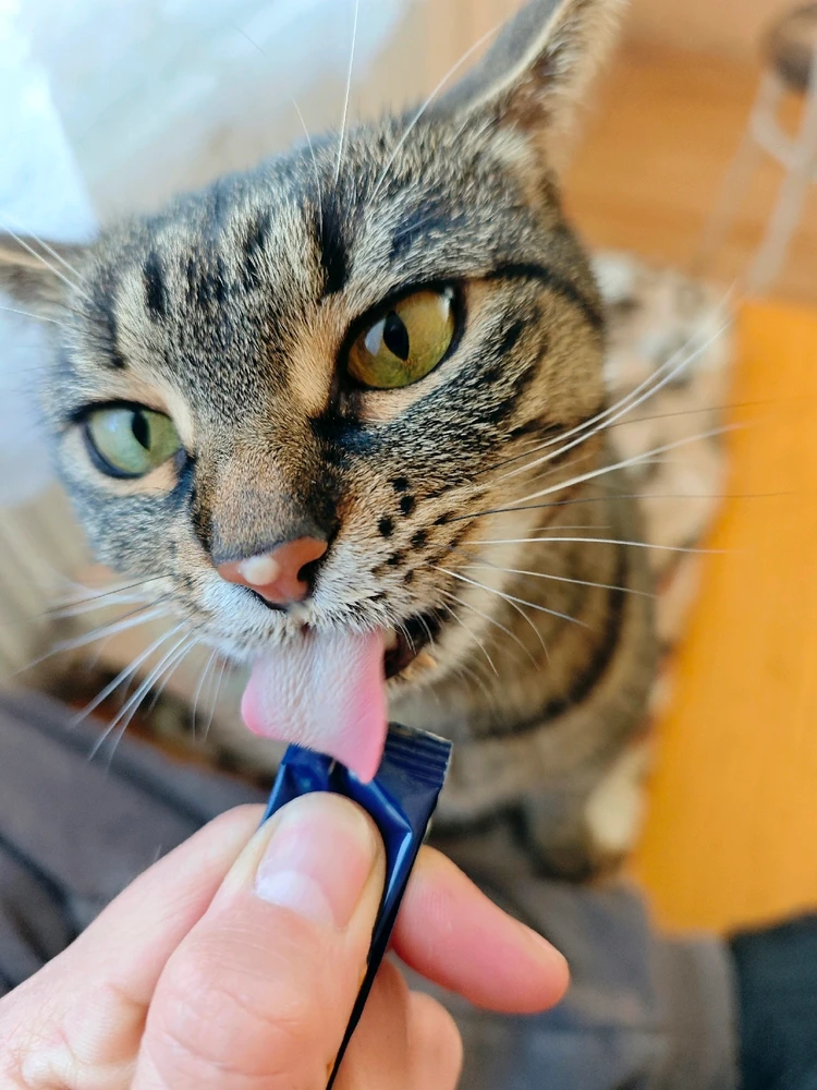 András által feltöltött GIF