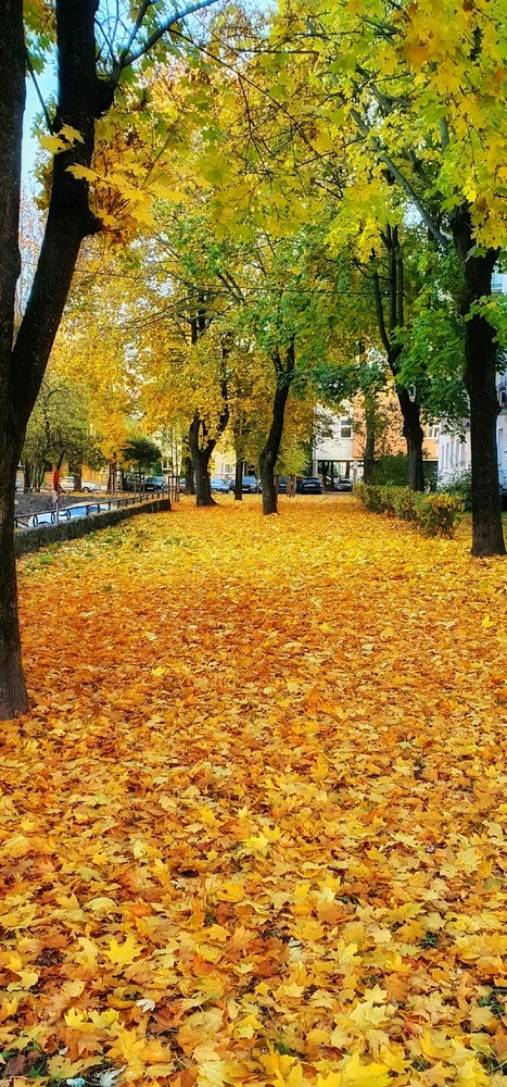 GIF uploaded by Anna