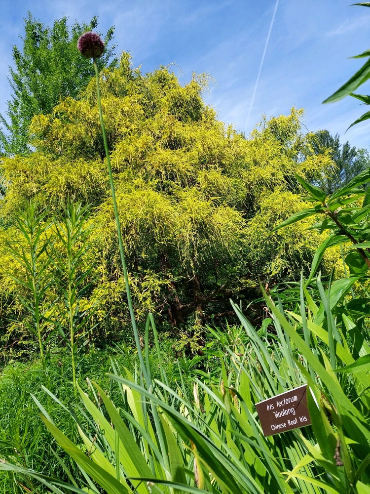 GIF uploaded by Jonathan